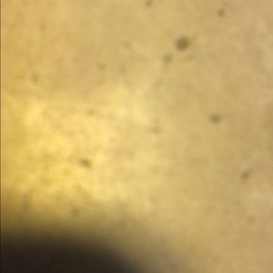 Meet your Posher, Gerald